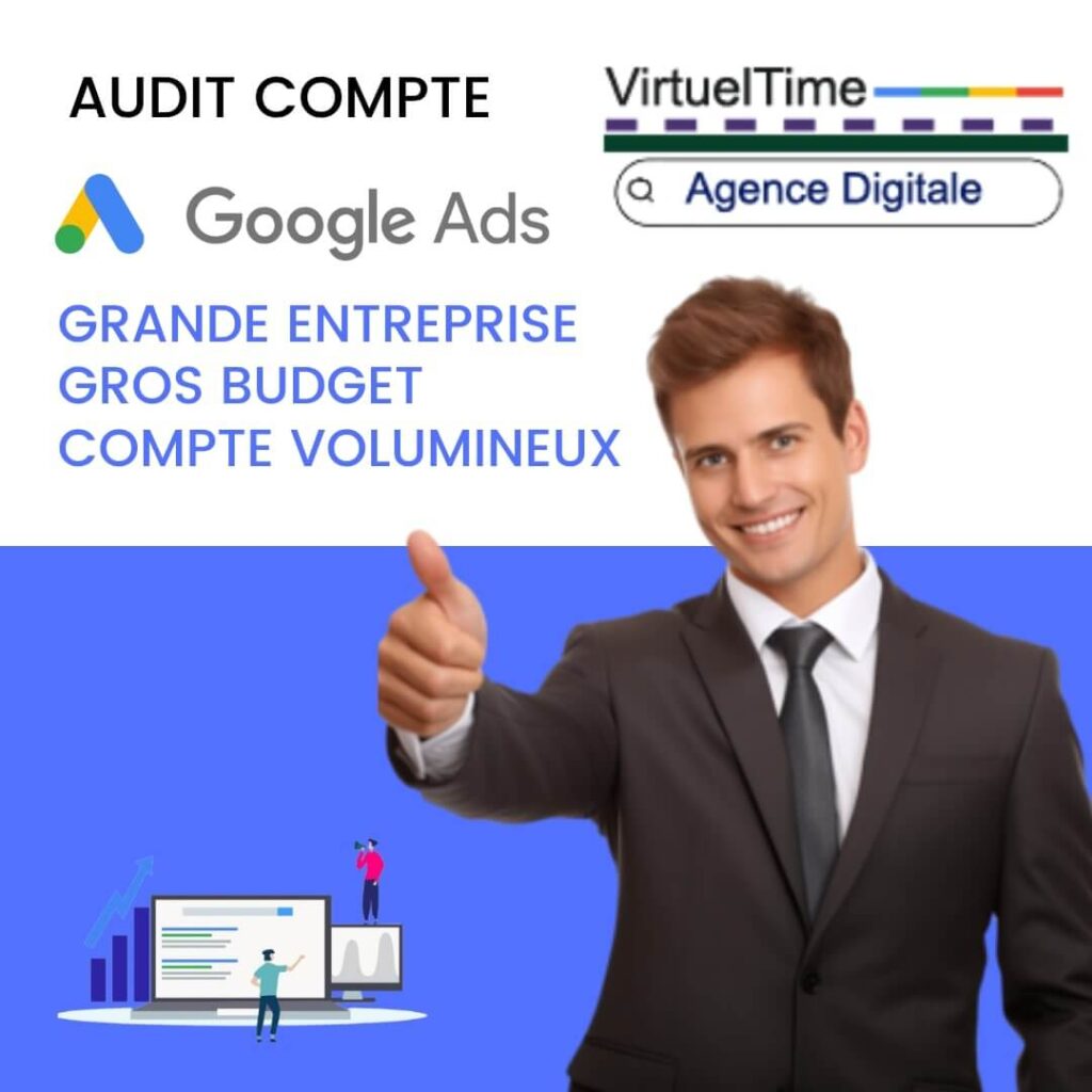 audit-compte-ads-grande-entreprise gros budget